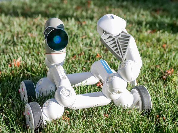 Découvrez comment optimiser vos backlinks avec linkuma